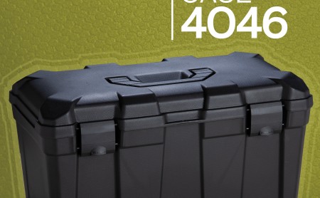 NEWS 4046 WEB 2